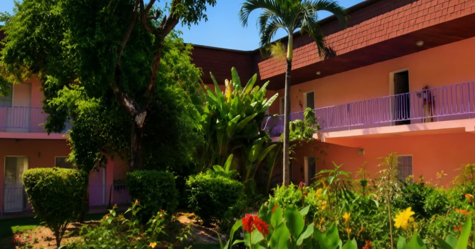 Jardin intérieur fleuri de l'Hôtel Adagio Libreville, façade et palmier